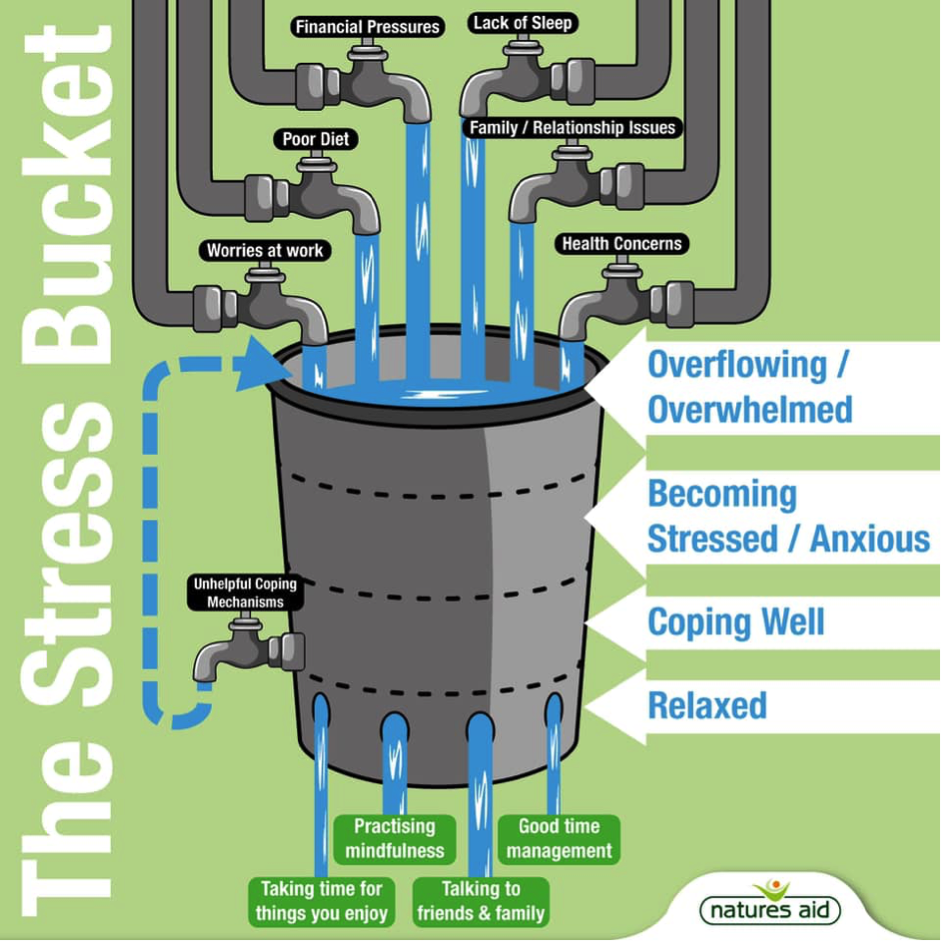 Take the Stress Bucket Challenge News Kingston Grammar School